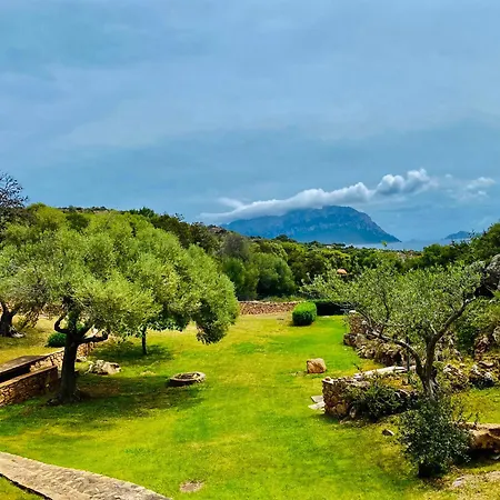 Vista Mare *